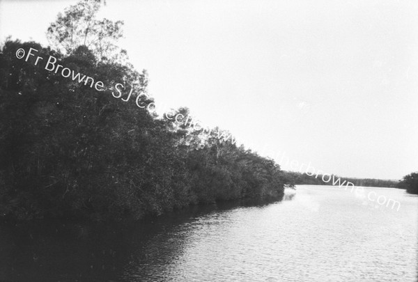 MAROOCHY RIVER : RIVER VIEW